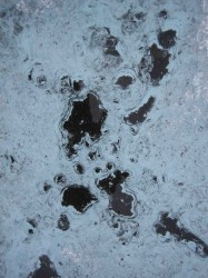 Baffin-icecap-187x250