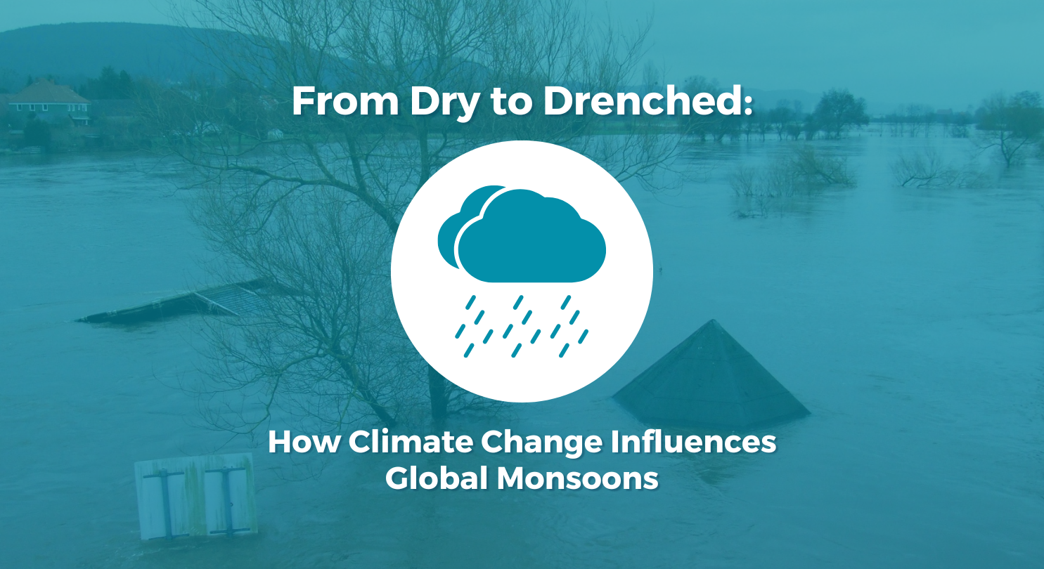drenchedtodry